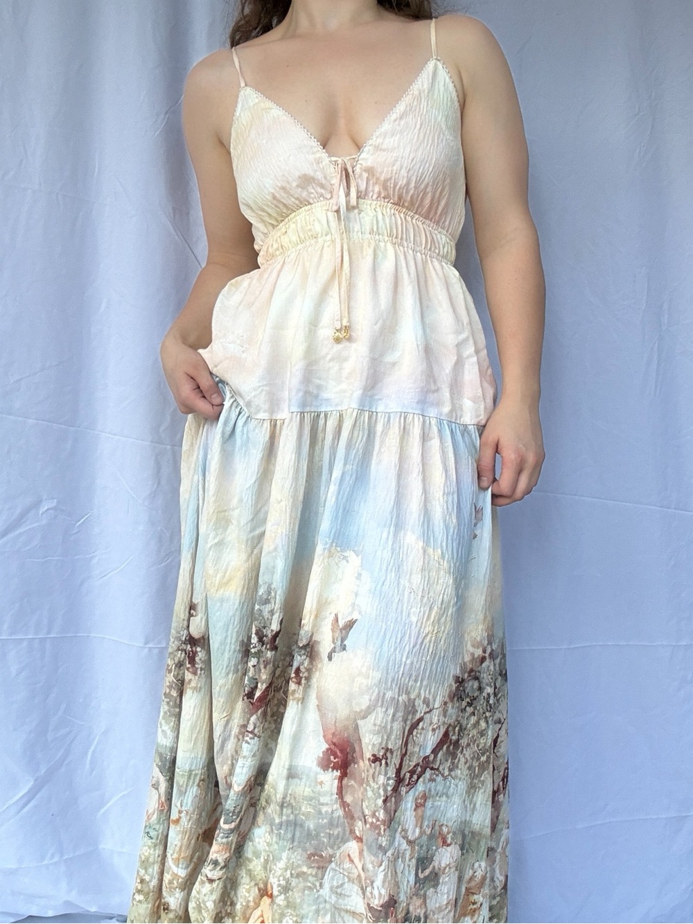 IRIS MAXI Pastoral Scenic Print Maxi Dress M Cottagecore Romantic Empire Waist